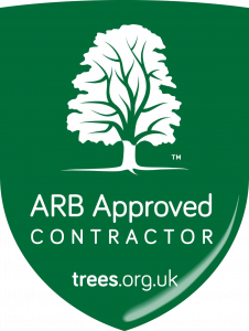 Tree Surgeons Essex – Expert Solutions for Taking Care of Local Greenery